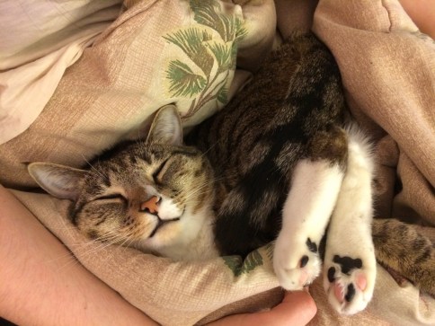 2013-11-09 22.22.25-2