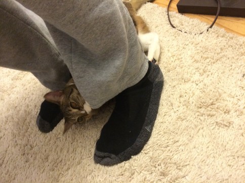 2014-05-05 23.32.01-1