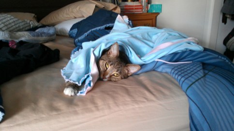 luna in aliona's blue shirt