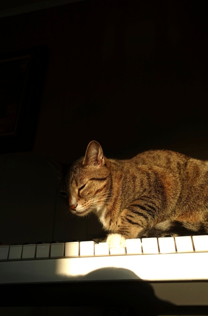 Luna prepares to play keyboard