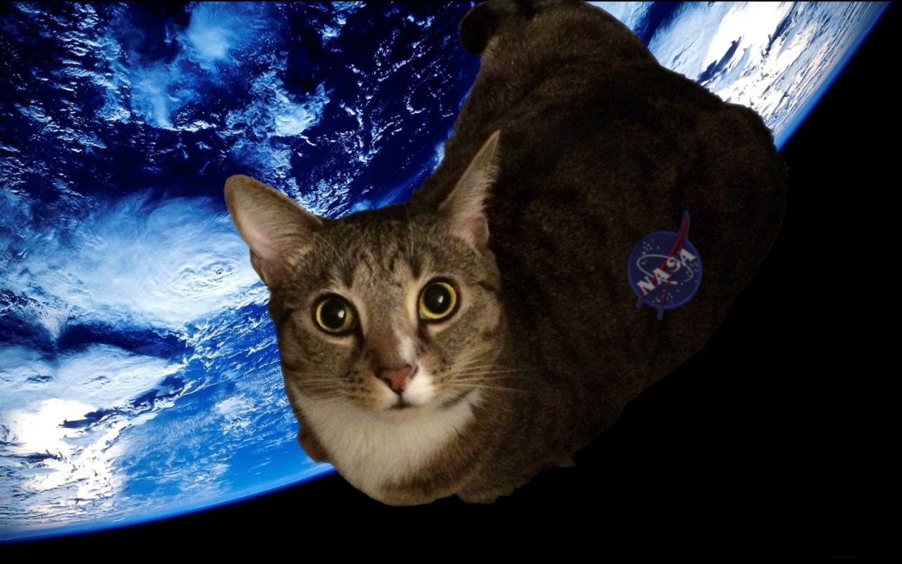 What will you be for&nbsp;Halloween?