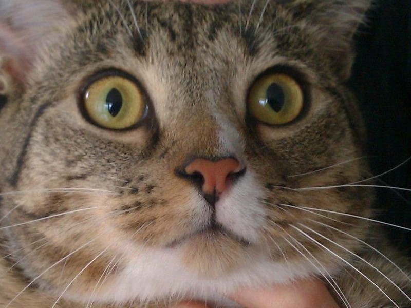 Why’d I get so&nbsp;wide-eyed?