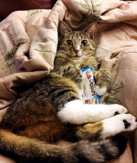 luna_advertising_dole