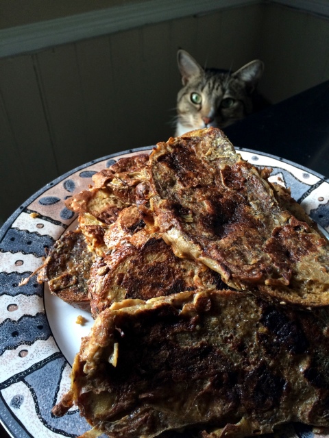 Luna with french toast
