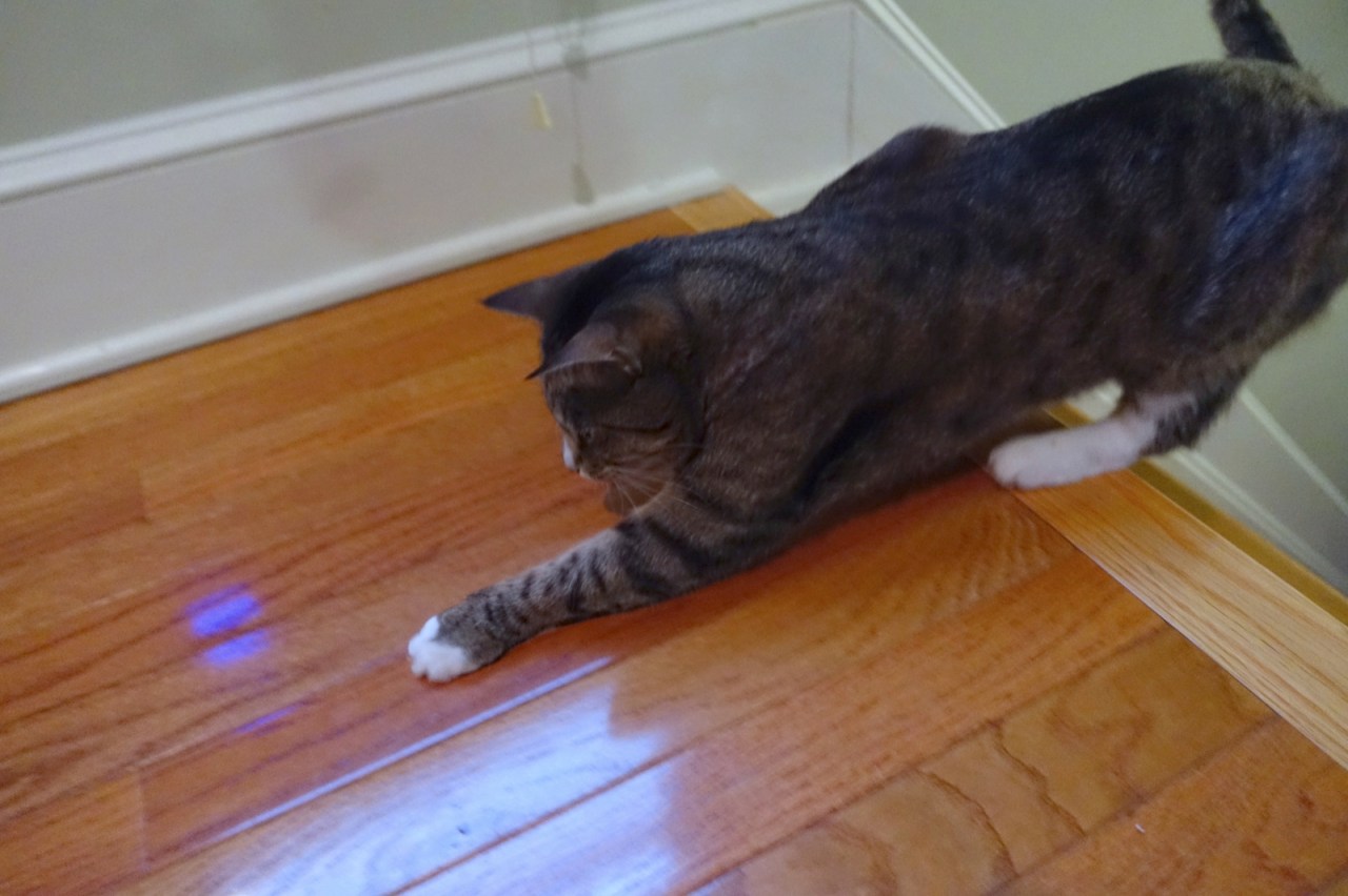 The game of&nbsp;treats