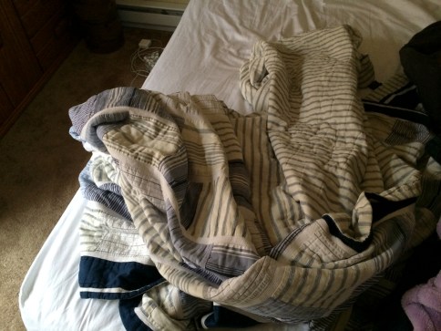 Crumpled blanket on bed with Luna in it