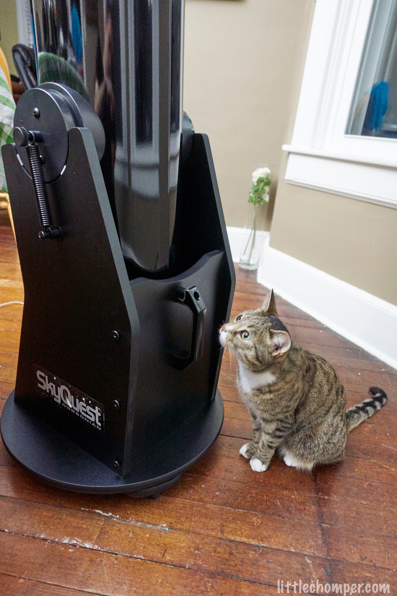 Luna discovers the&nbsp;cosmos