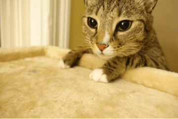 Screenshot 2015-03-14 22.22.03