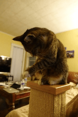 Screenshot 2015-03-14 22.22.26