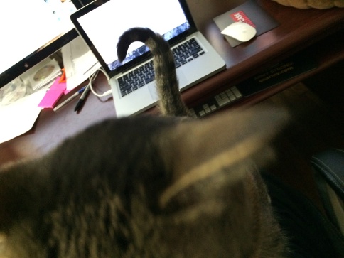 Luna interfering with computer use