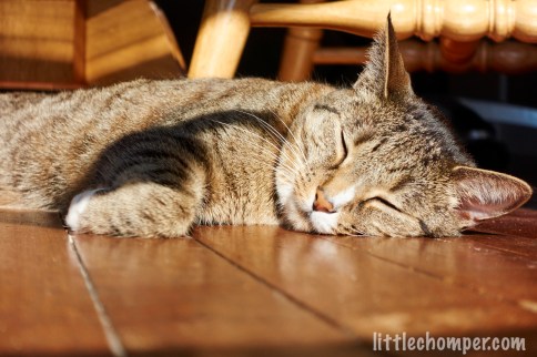 One-fingered shadow on Luna
