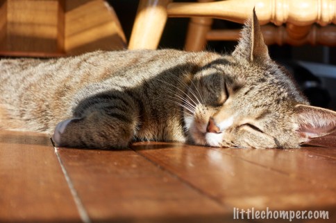 Shadow hand creeping onto Luna's face