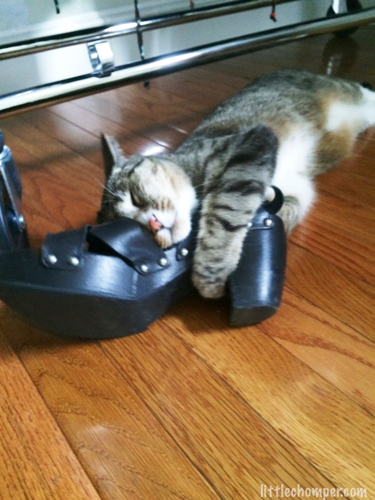 Luna wanted a&nbsp;pineapple