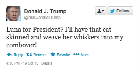 fake trump tweet
