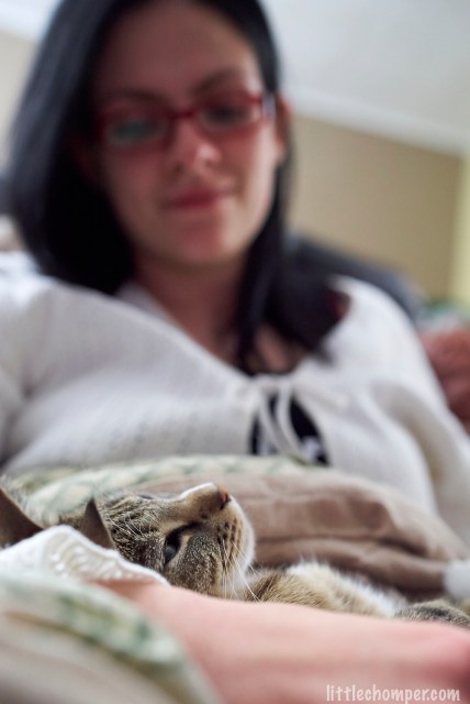 Luna asleep in front of blurred Aliona