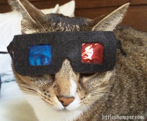 Luna looking at camera with 3D glasses