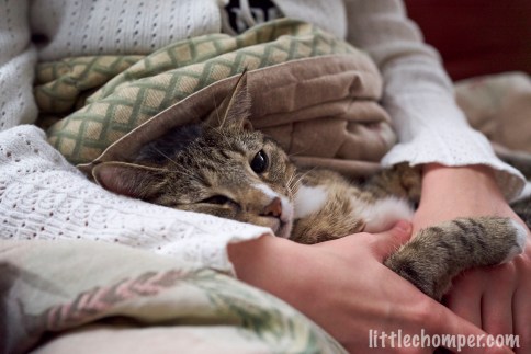 Luna with emo black eye while lying in Aliona's arms